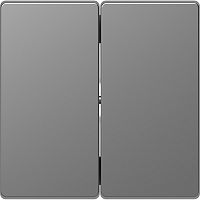 Лицевая панель Schneider Electric Merten D-Life для 2-кл. выключателя сталь картинка